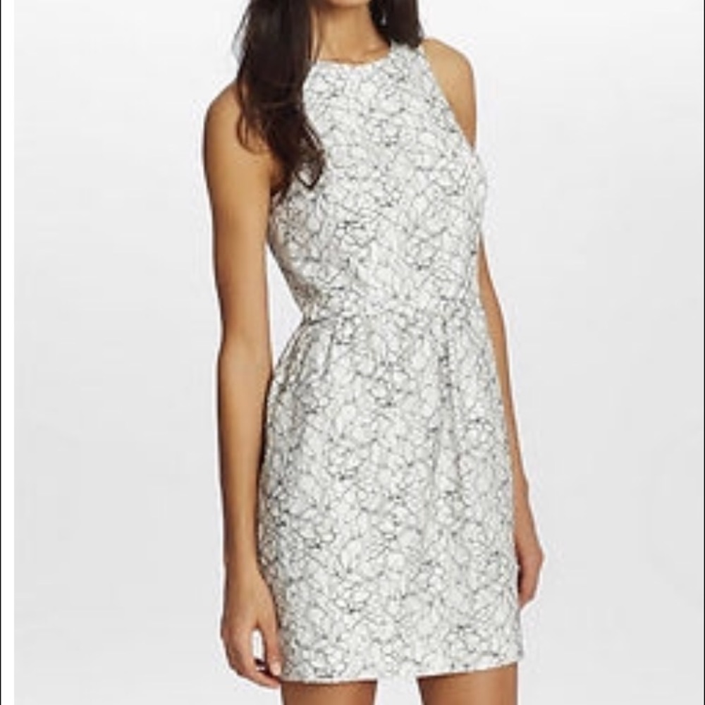Cynthia Steffe "Brooklyn" black & white lace dress