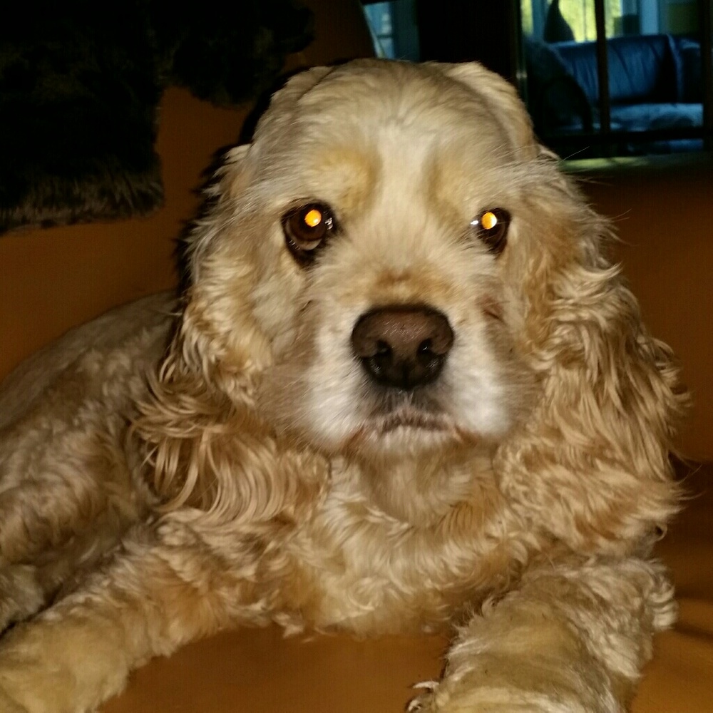 Meet your Posher, Jonnie