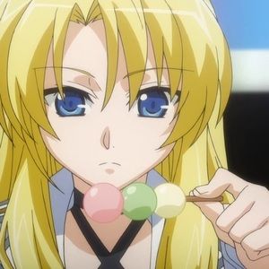 Meet your Posher, Grace