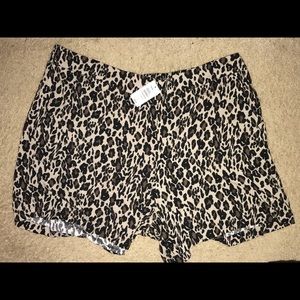 Leopard shorts