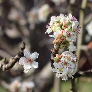 Meet your Posher, Abrar