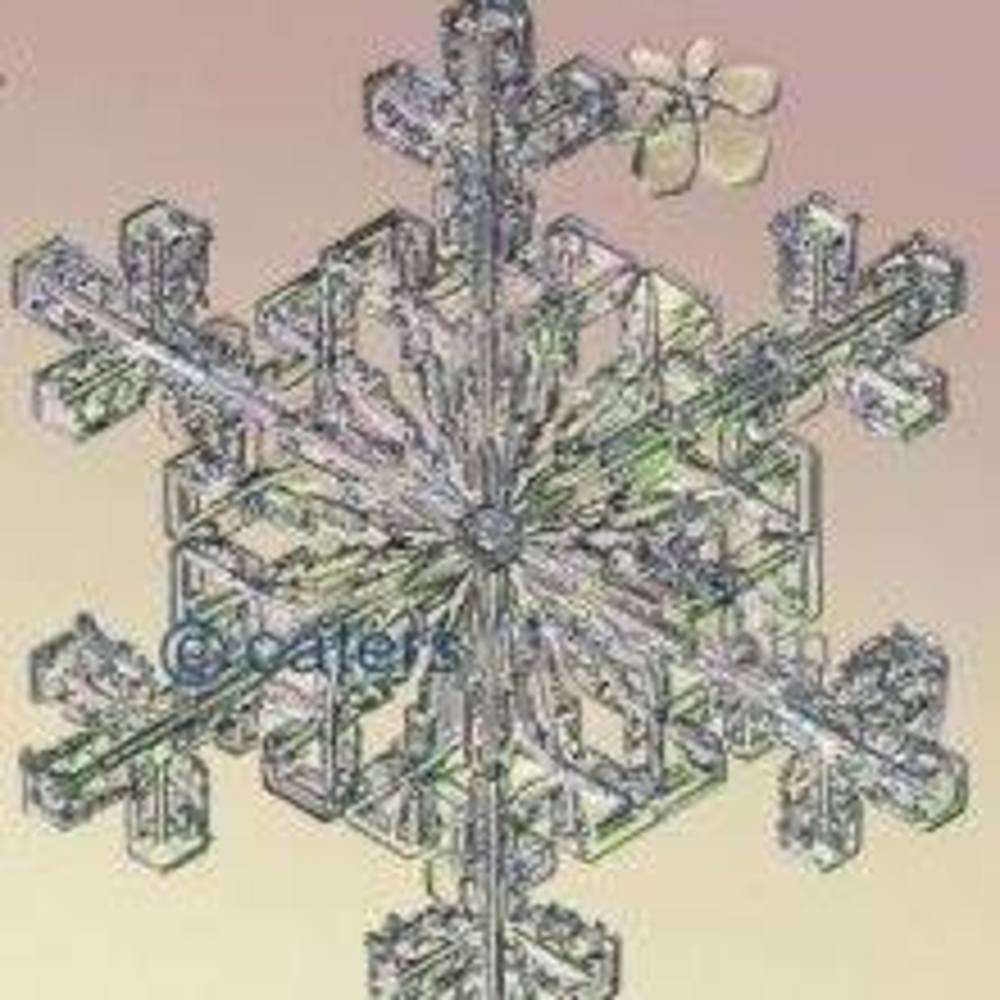 Meet your Posher, Mckenna