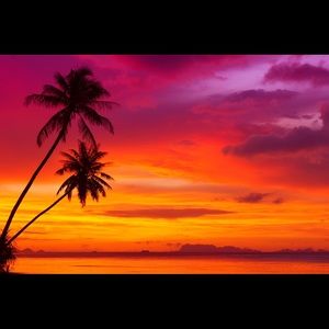 Meet your Posher, Deirdre