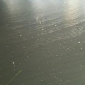 Meet your Posher, Janet