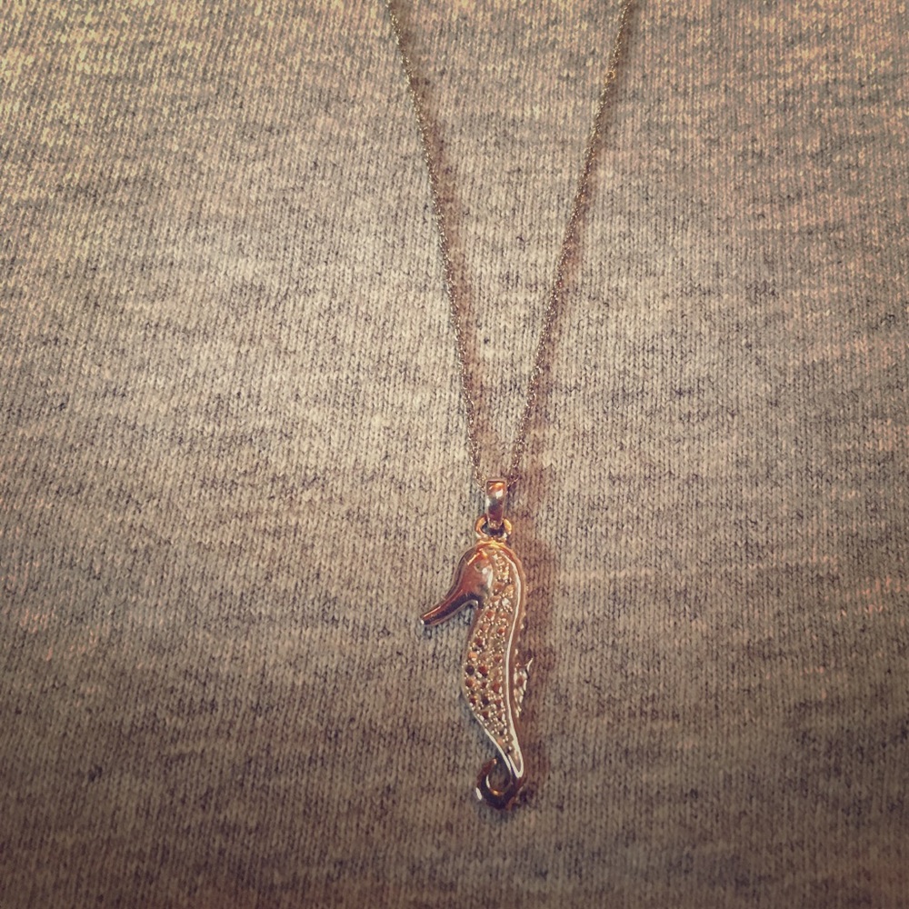 Silver Seahorse Necklace