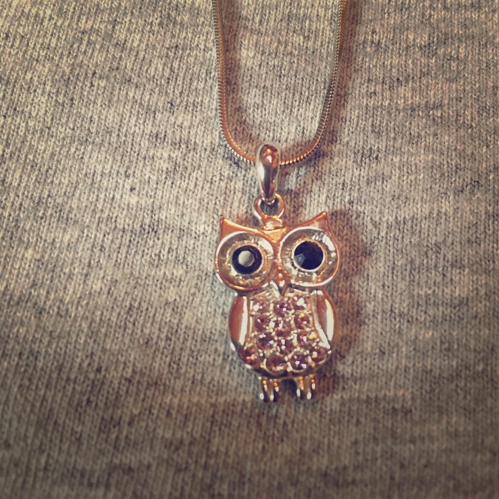 Owl Necklace