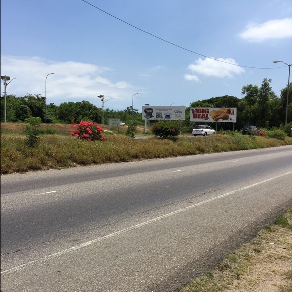 Meet your Posher, Ray - Picture 1 of 1