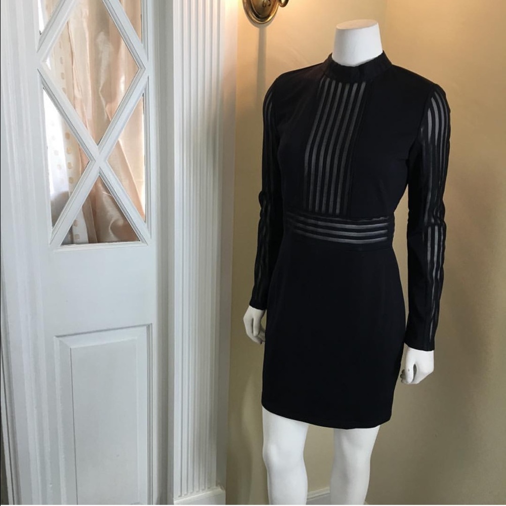 Genuine sheer dress