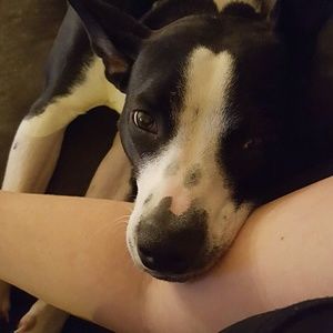 Meet your Posher, Patricia