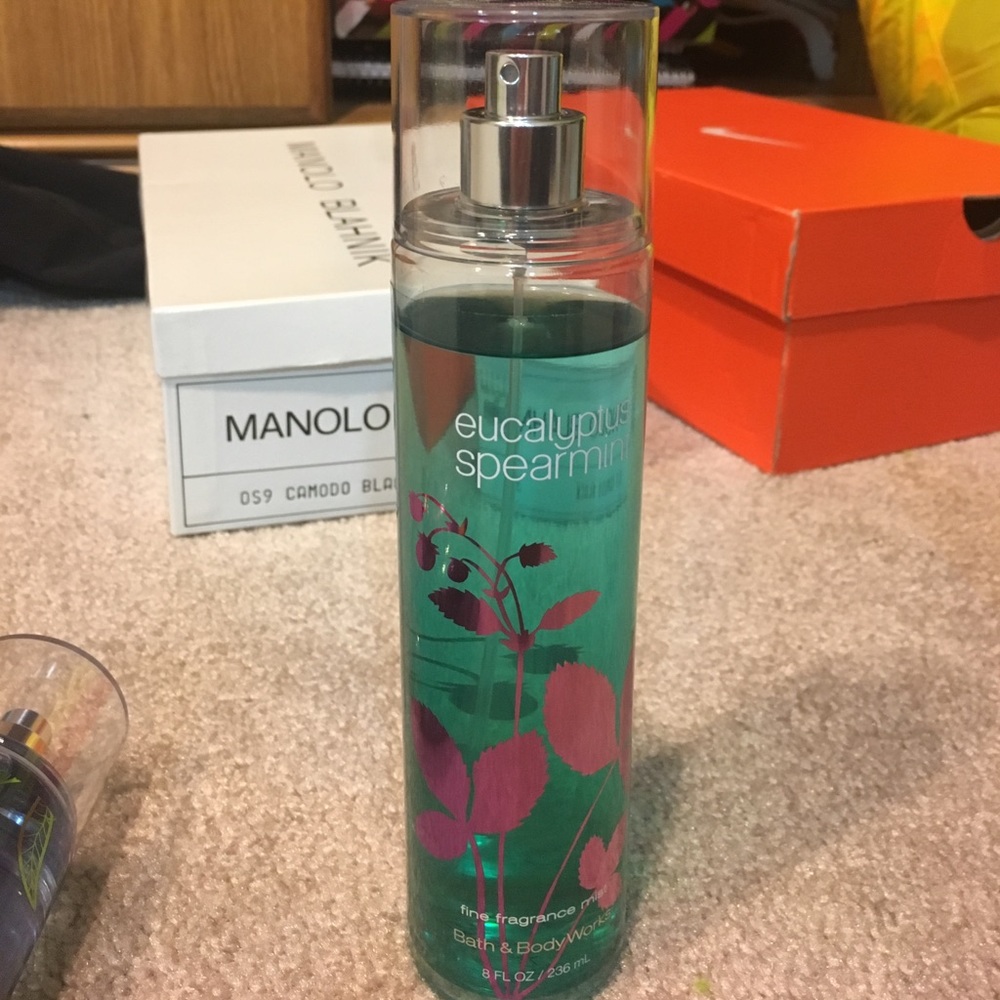 Eucalyptus Spearmint Fragrance Mist