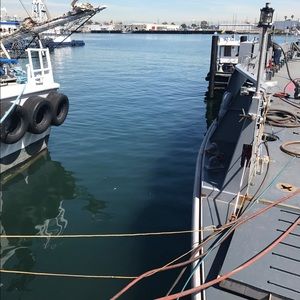 Meet your Posher, Frank