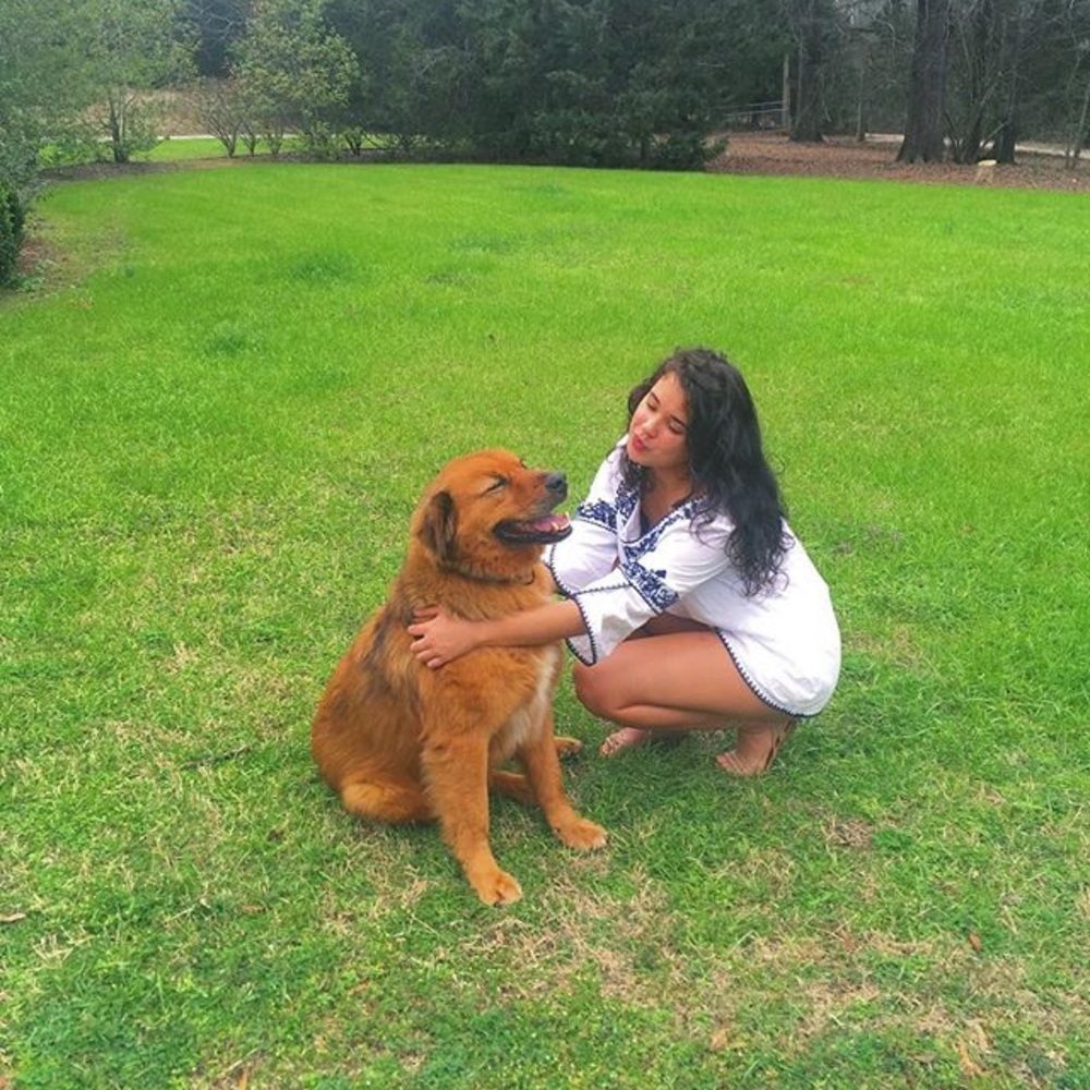 Meet your Posher, Alexa