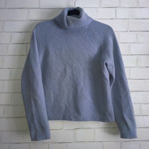 Ann Taylor Cashmere Turtle Neck