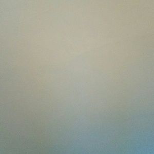 Meet your Posher, Reggie