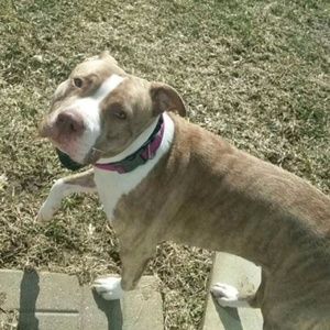 Meet your Posher, Dominic