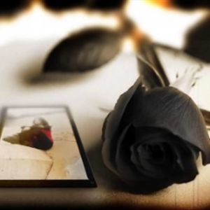 Meet your Posher, Javier