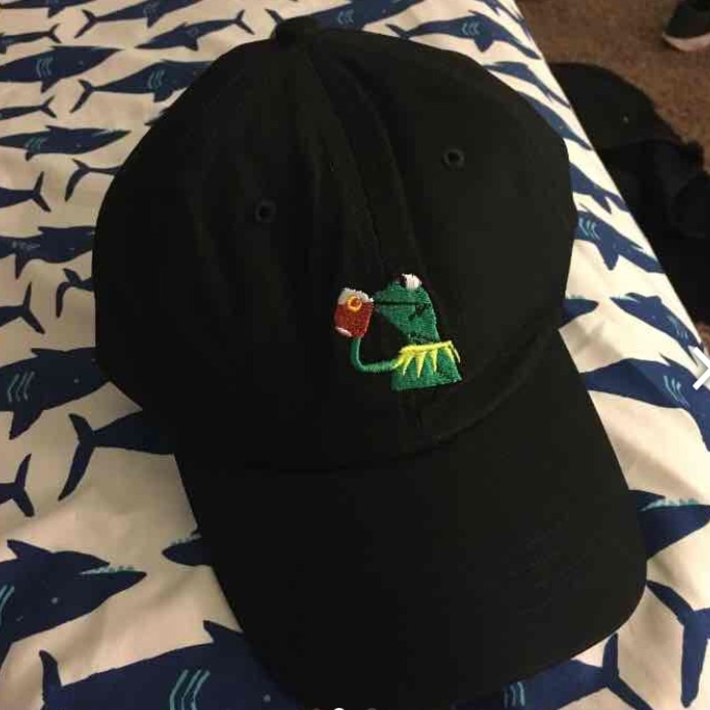 NWT Kermit Dad Hat