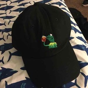 NWT Kermit Dad Hat