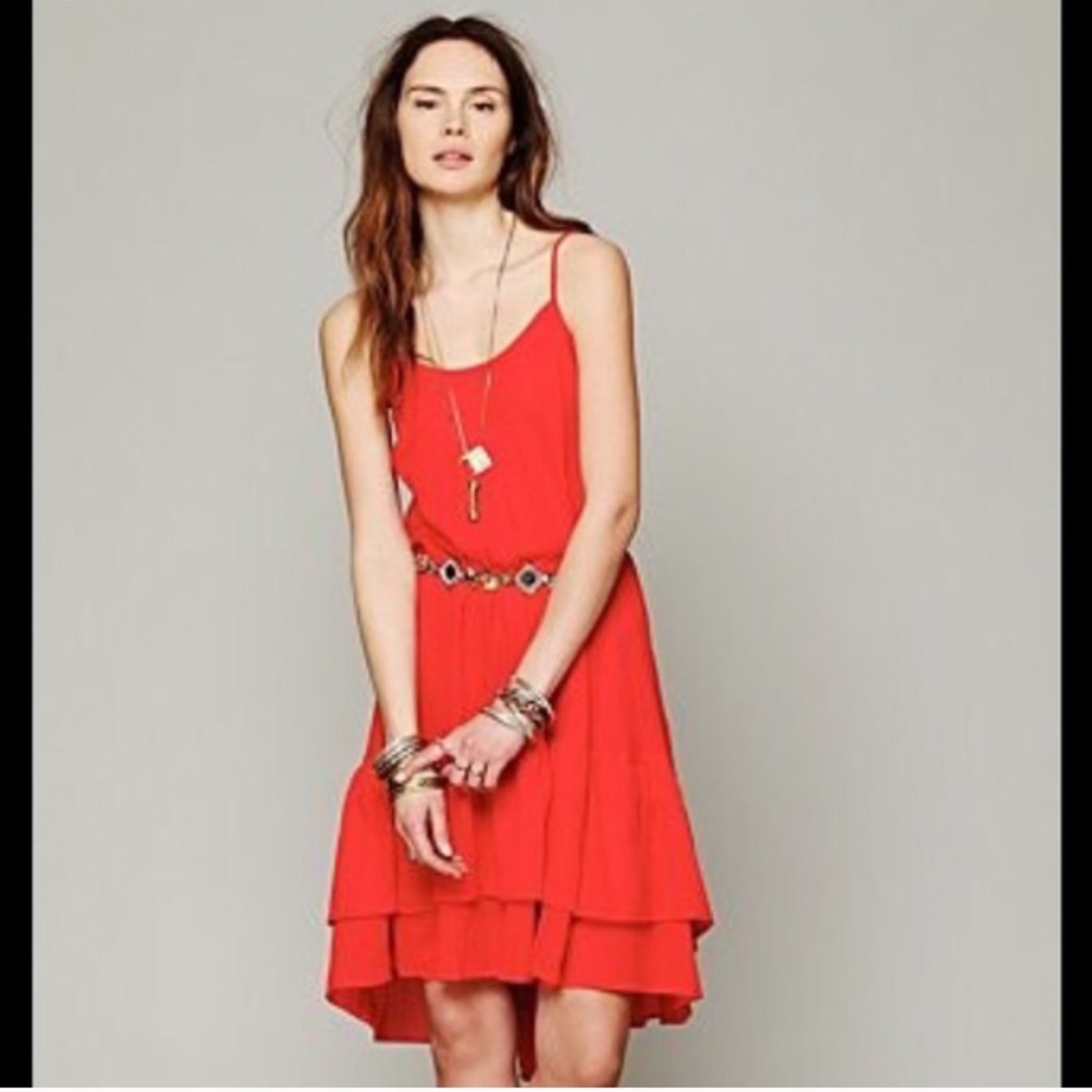 NWT Free People Natural Habitat Dress