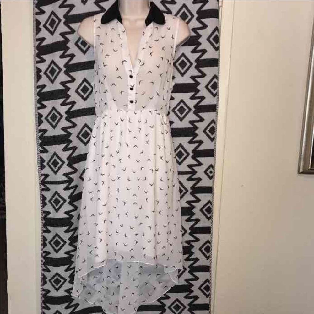 Birds Pattern Collared High Low Dress