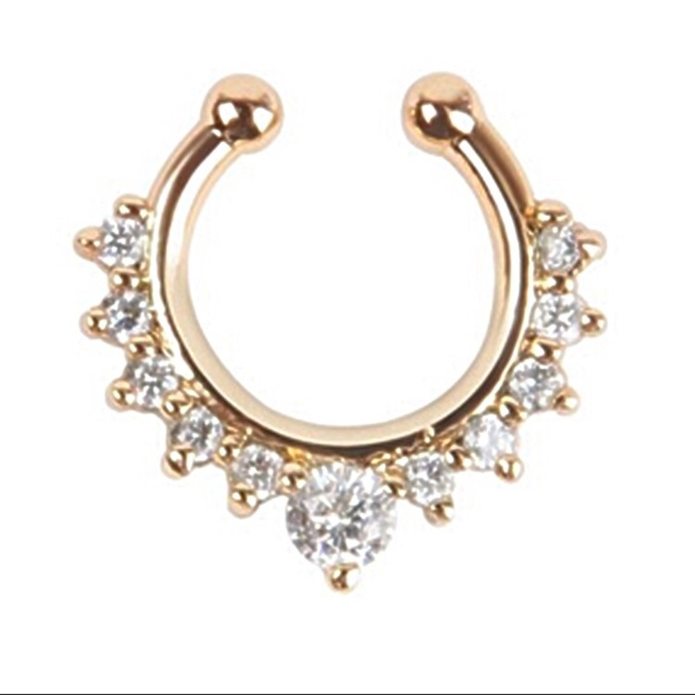 🆕‼️ 2 for 1 Fake Nose Ring - Septum Nose Jewelry