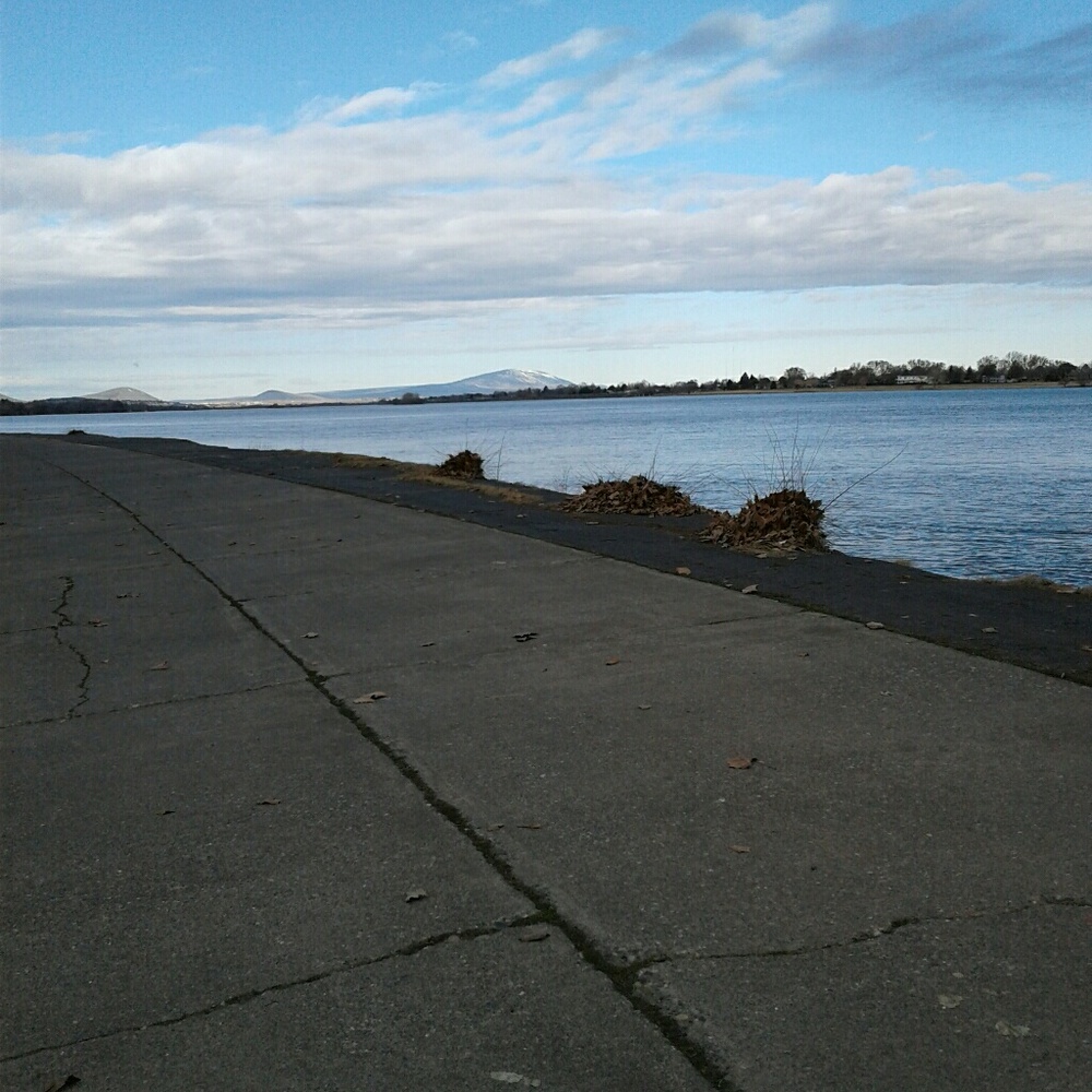 Meet your Posher, Kylee