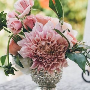 Meet your Posher, Jenny