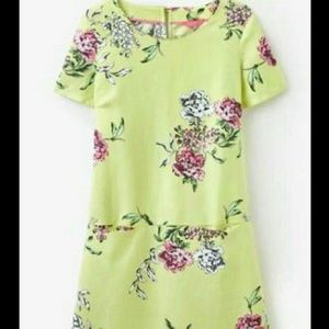 Cute Spring Joules Dress