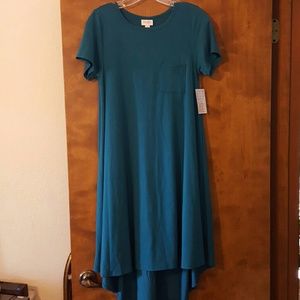 Beautiful Teal Carly