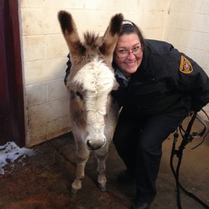 Meet your Posher, Wendy