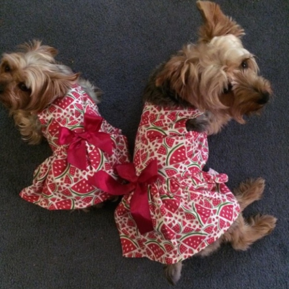Beautiful Watermelon Dress w/Ribbon - Pet Clothing