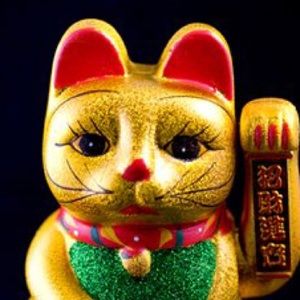 Meet your Posher, Devin