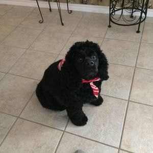 Meet your Posher, Joann