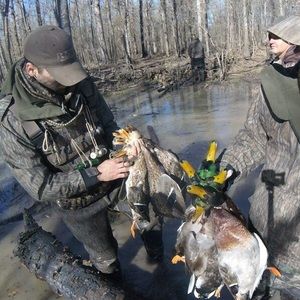 Meet your Posher, Caleb