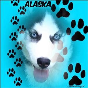 Meet your Posher, Stacie