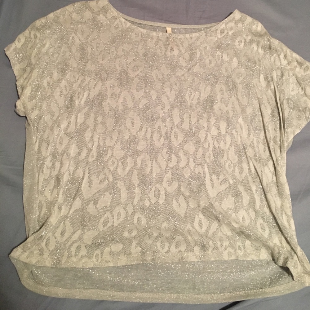 Sparkly gray shirt