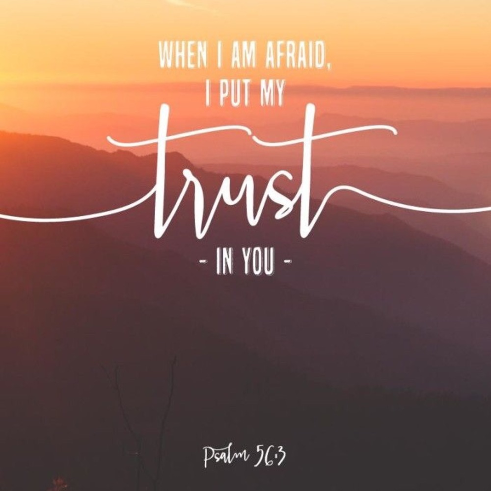 Meet your Posher, Lydia