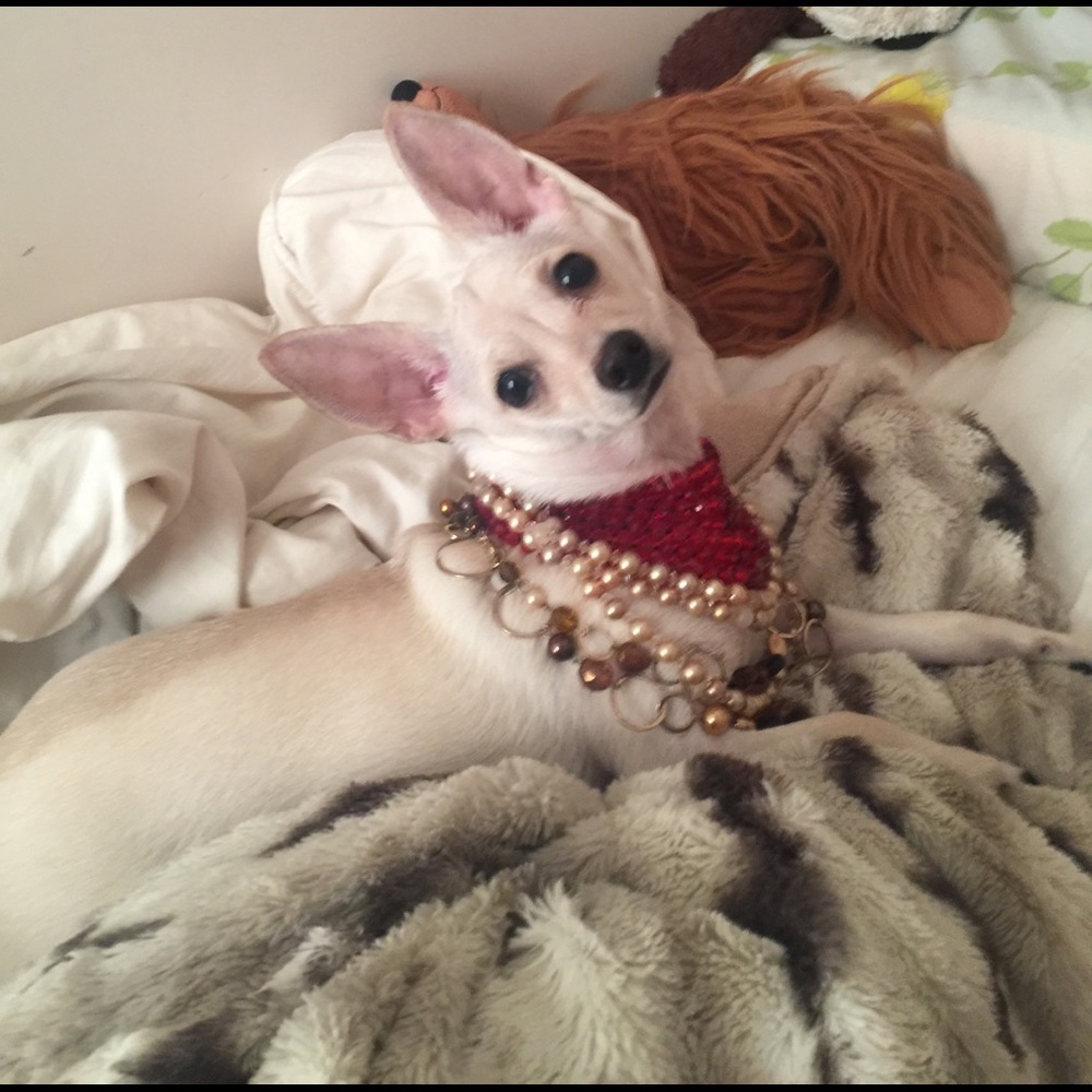 Coco loves jewelry too!