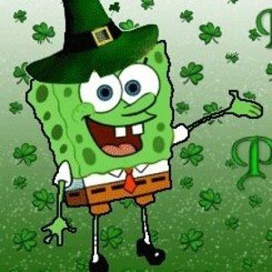 Meet your Posher, Lyn