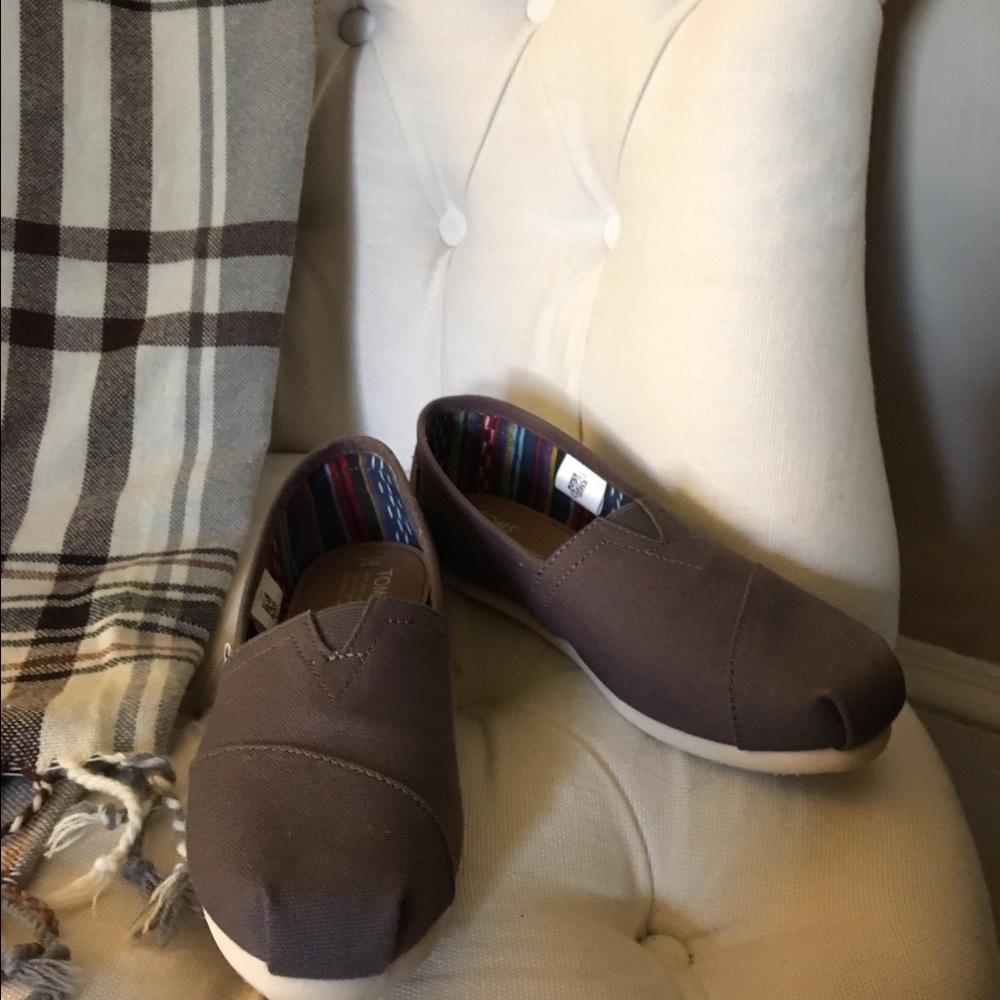 Toms Classics in Ash