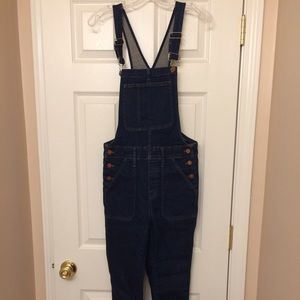 Madewell Skinny Overalls *NWOT*
