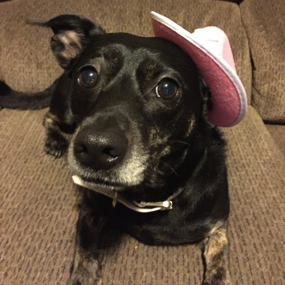 Meet your Posher, Kayla - Picture 3 of 5