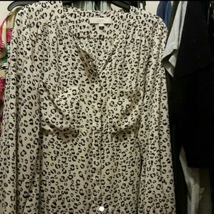 Ann Taylor LOFT blouse