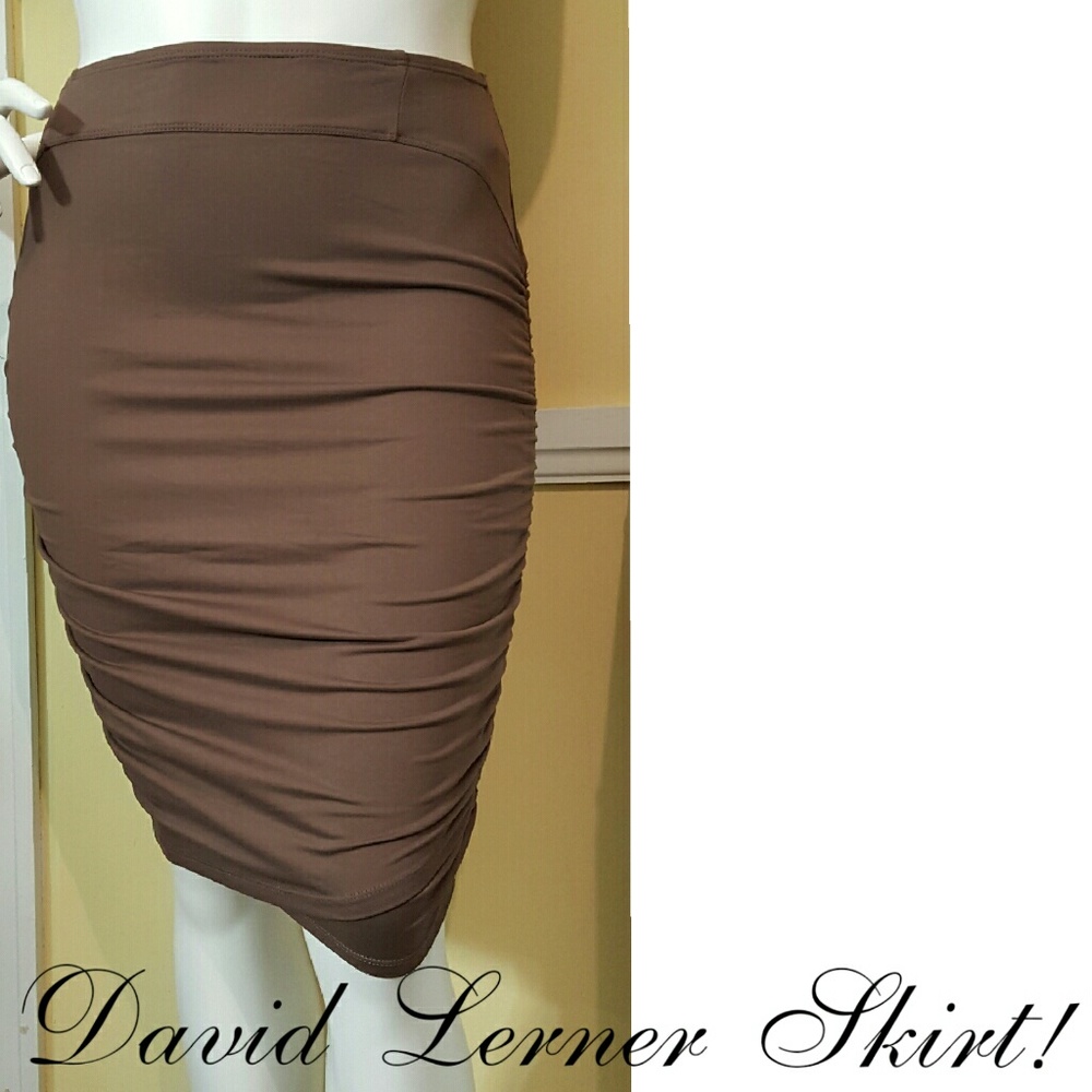 David Lerner skirt.