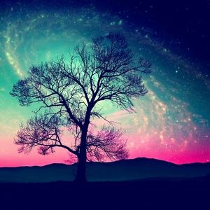 Meet your Posher, Dacey