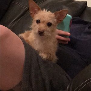 Meet your Posher, Monique