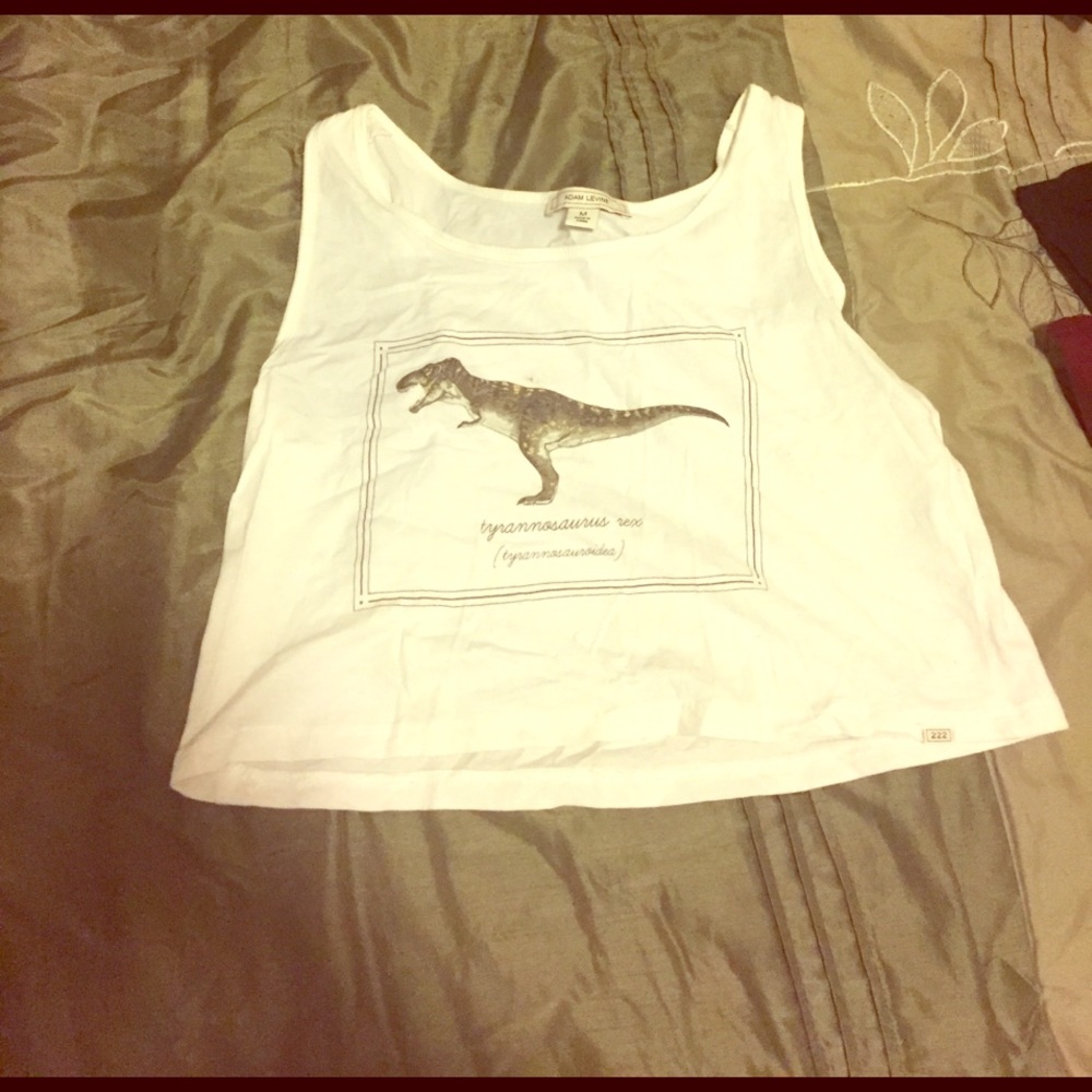 Dinosaur crop top