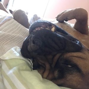 Meet your Posher, Jenny