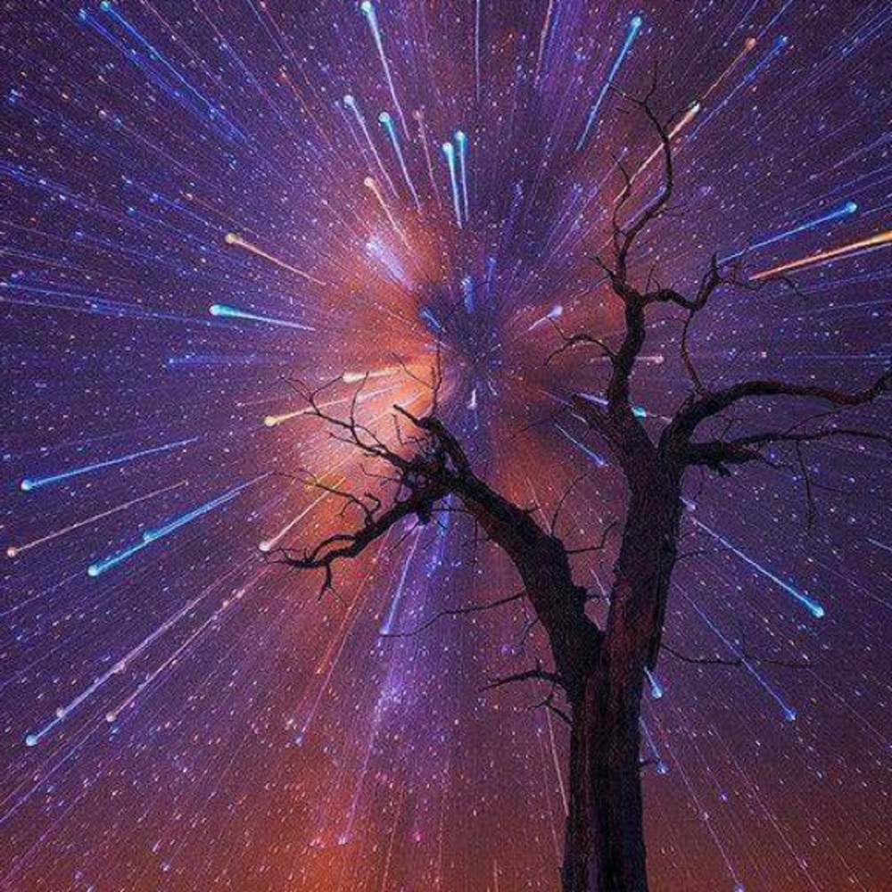 Meet your Posher, Zach