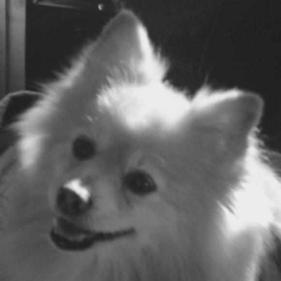 Meet your Posher, Sheila - Picture 1 of 1